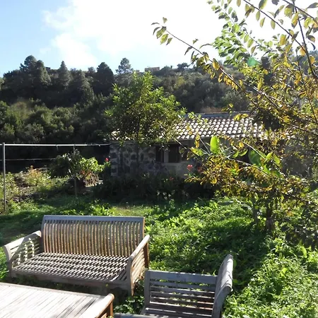 Schoene Finca Cueva Del Viento Mit Kleinem Garten Дом отдыха Икод-де-лос-Винос